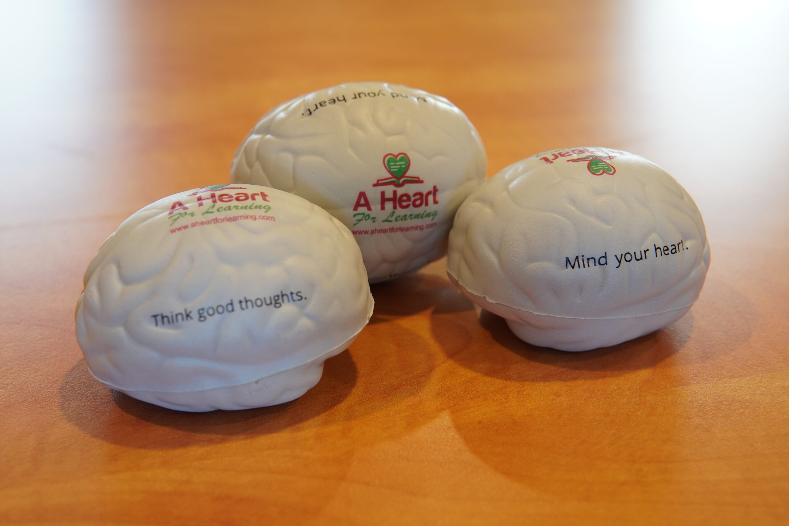Brain Stress Ball
