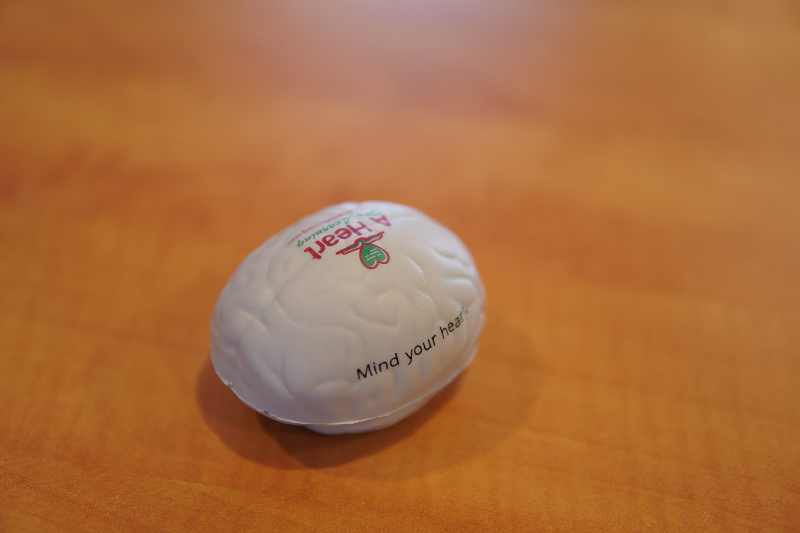 Brain Stress Ball - Image 3