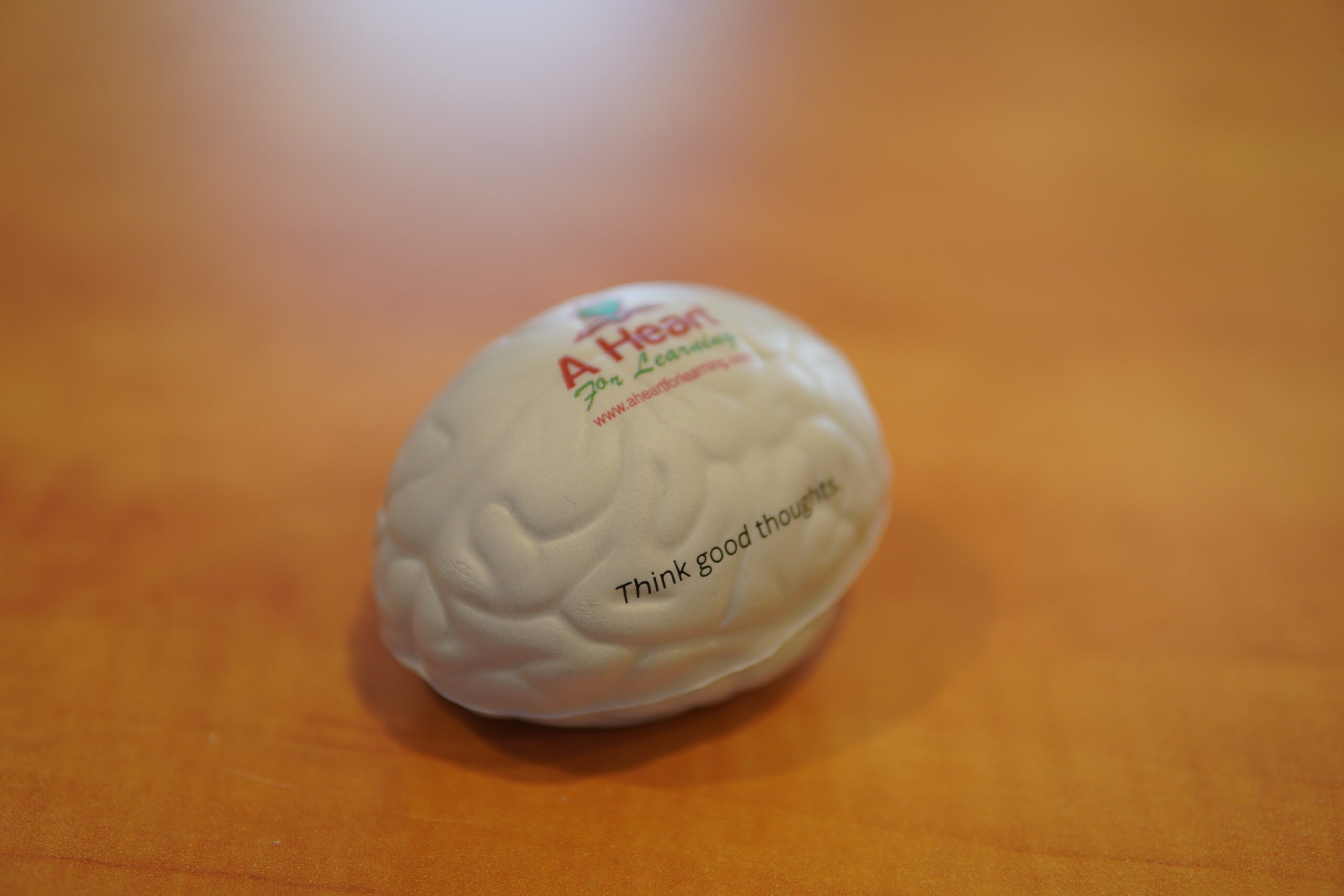 Brain Stress Ball - Image 2