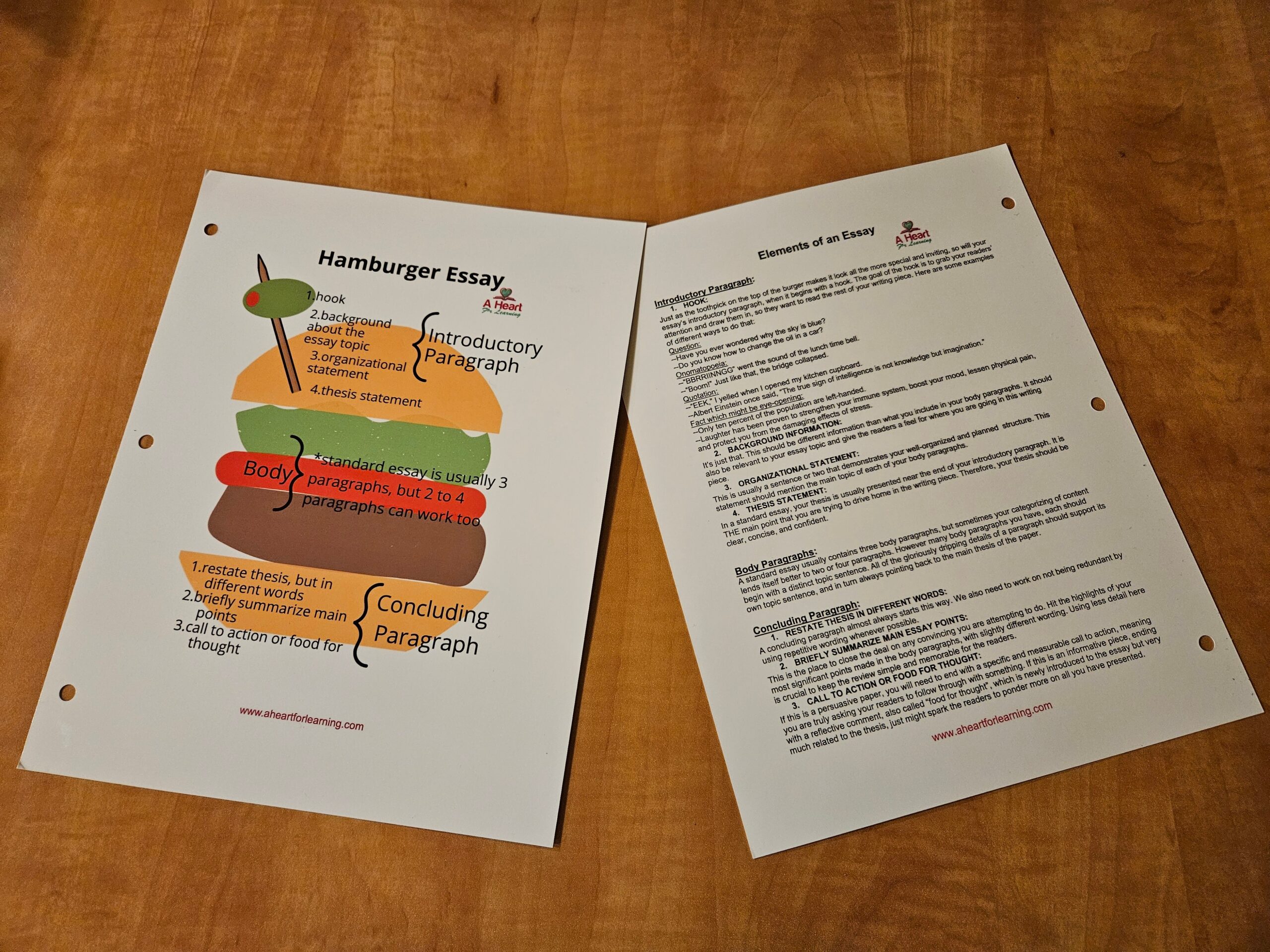 Hamburger Essay Illustration and Guide Poster: Heavy Duty Binder Insert