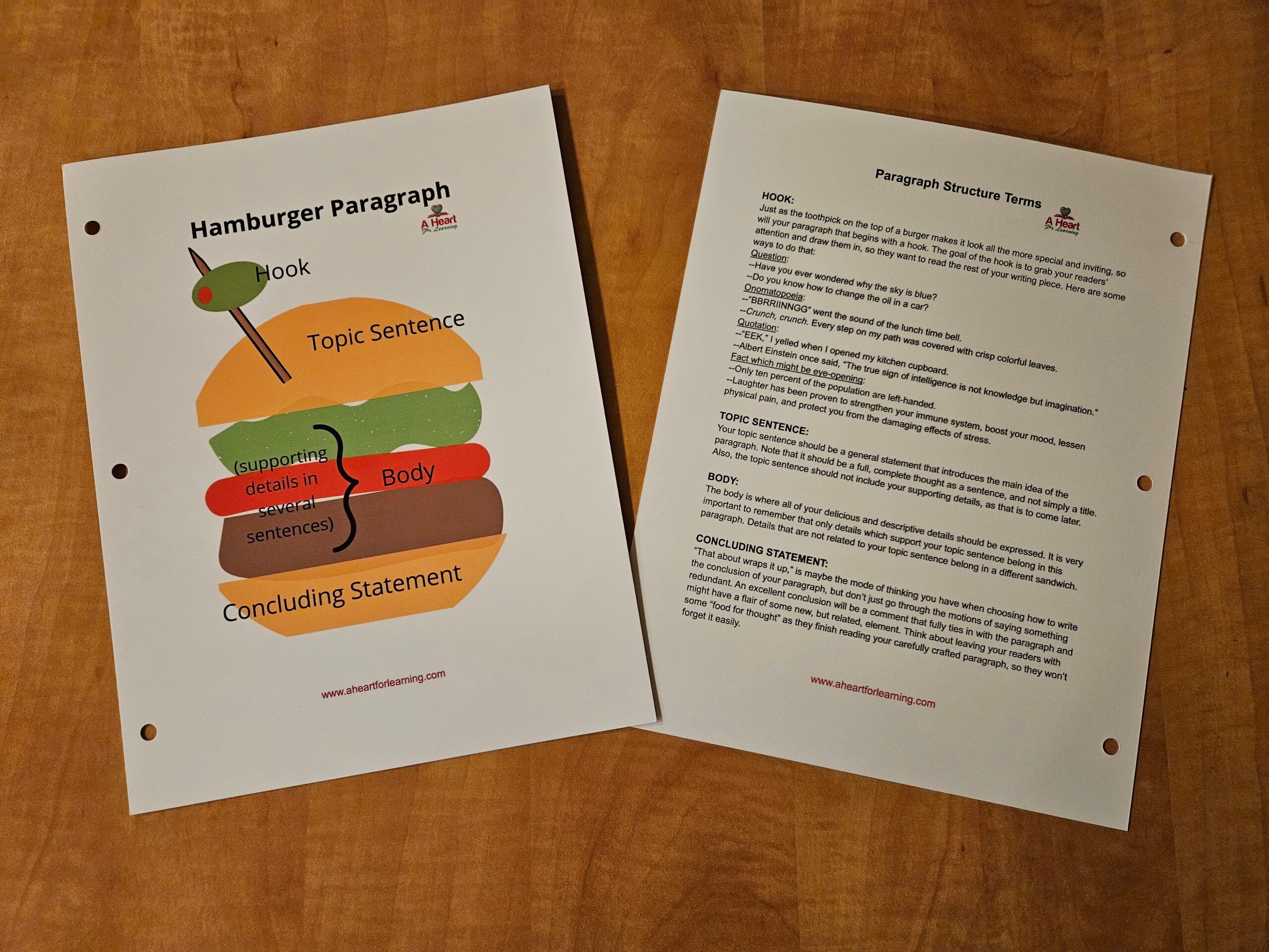 Hamburger Paragraph Illustration and Guide Poster: Heavy Duty Binder Insert